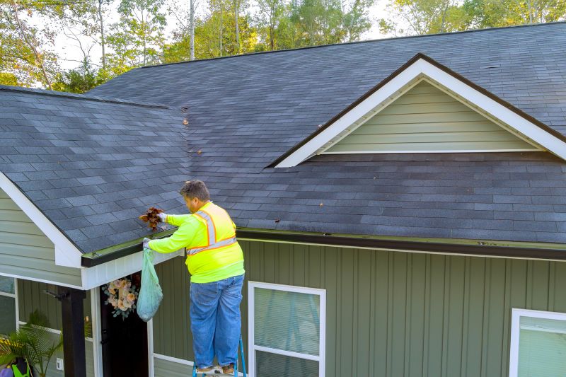 Specialized Gutter Cover Providers
